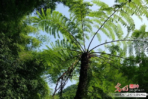 纪念红军长征胜利80周年全国主流媒体聚焦赤水