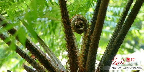 纪念红军长征胜利80周年全国主流媒体聚焦赤水