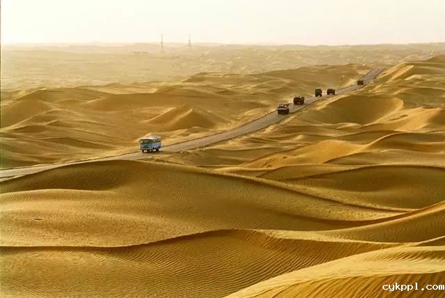 从上万幅摄影作品中脱颖而出！《绿化大漠不是梦》为何能获中国新闻奖？