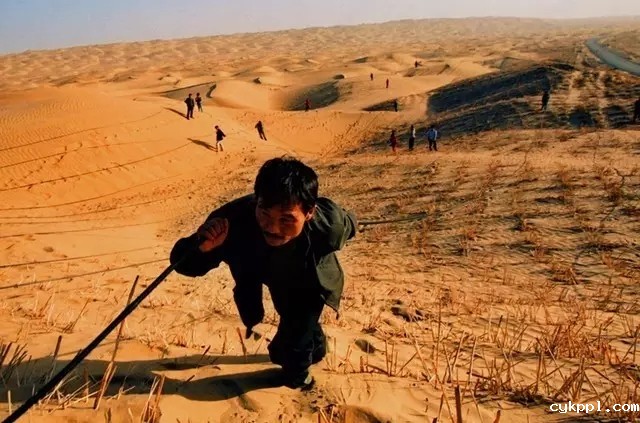 从上万幅摄影作品中脱颖而出！《绿化大漠不是梦》为何能获中国新闻奖？