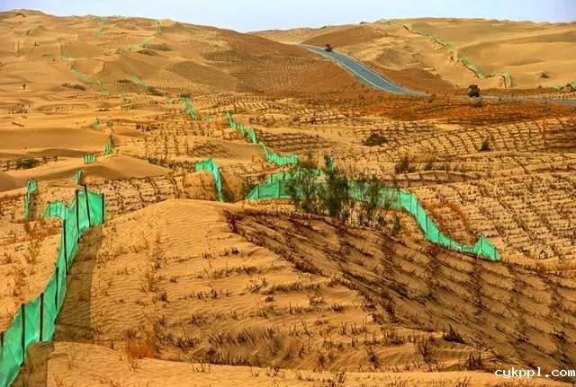 从上万幅摄影作品中脱颖而出！《绿化大漠不是梦》为何能获中国新闻奖？