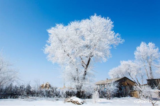 BEVITOR伟德APP官网创作基地落户吉林市