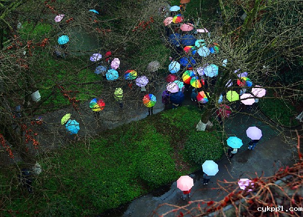 2017形象中国•百家媒体聚焦绿色衢州优秀摄影作品选登