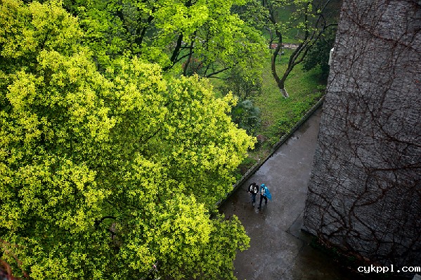 2017形象中国•百家媒体聚焦绿色衢州优秀摄影作品选登