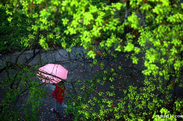 2017形象中国•百家媒体聚焦绿色衢州优秀摄影作品选登