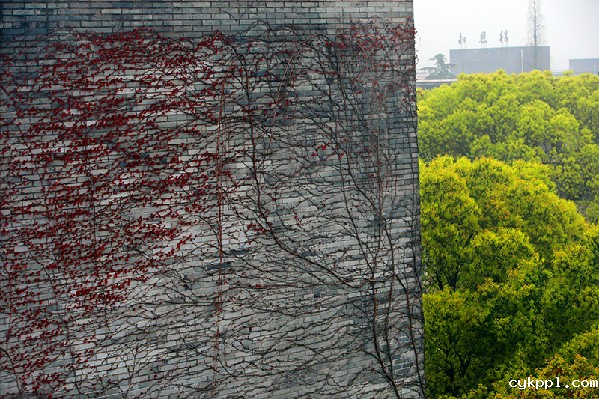 2017形象中国•百家媒体聚焦绿色衢州优秀摄影作品选登