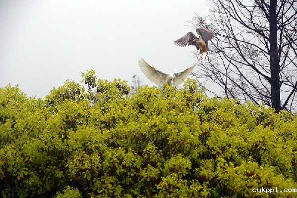 2017形象中国•百家媒体聚焦绿色衢州优秀摄影作品选登