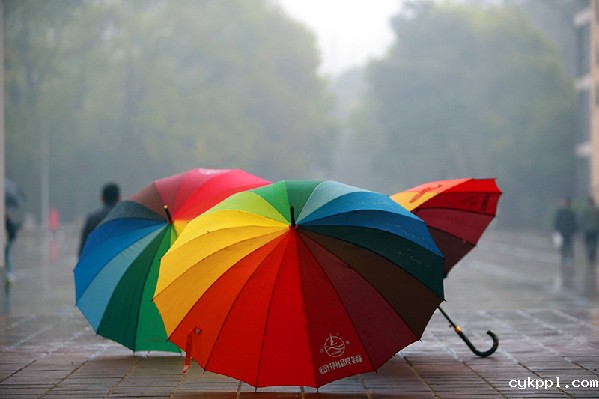 2017形象中国•百家媒体聚焦绿色衢州优秀摄影作品选登