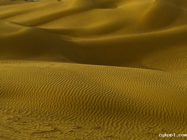 致敬！塔里木！