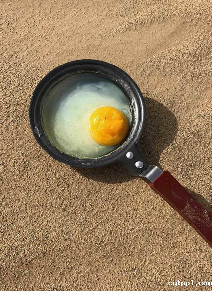 致敬！塔里木！