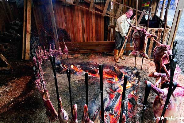 《百名摄影师聚焦巴西》画册首发式在京举行