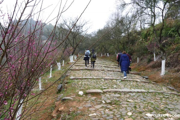 探梅关古道 看人间沧桑 探梅关古道 看人间沧桑