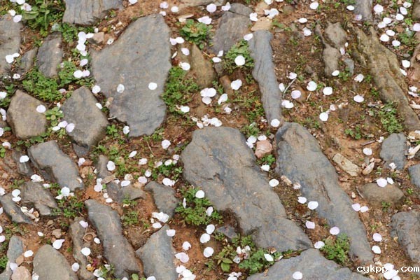 探梅关古道 看人间沧桑 探梅关古道 看人间沧桑