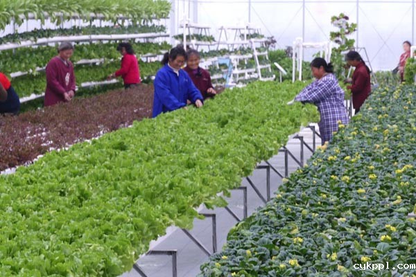 探梅关古道 看人间沧桑 探梅关古道 看人间沧桑