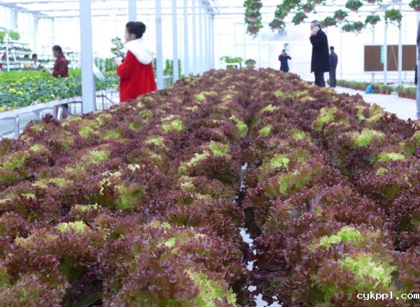 探梅关古道 看人间沧桑 探梅关古道 看人间沧桑