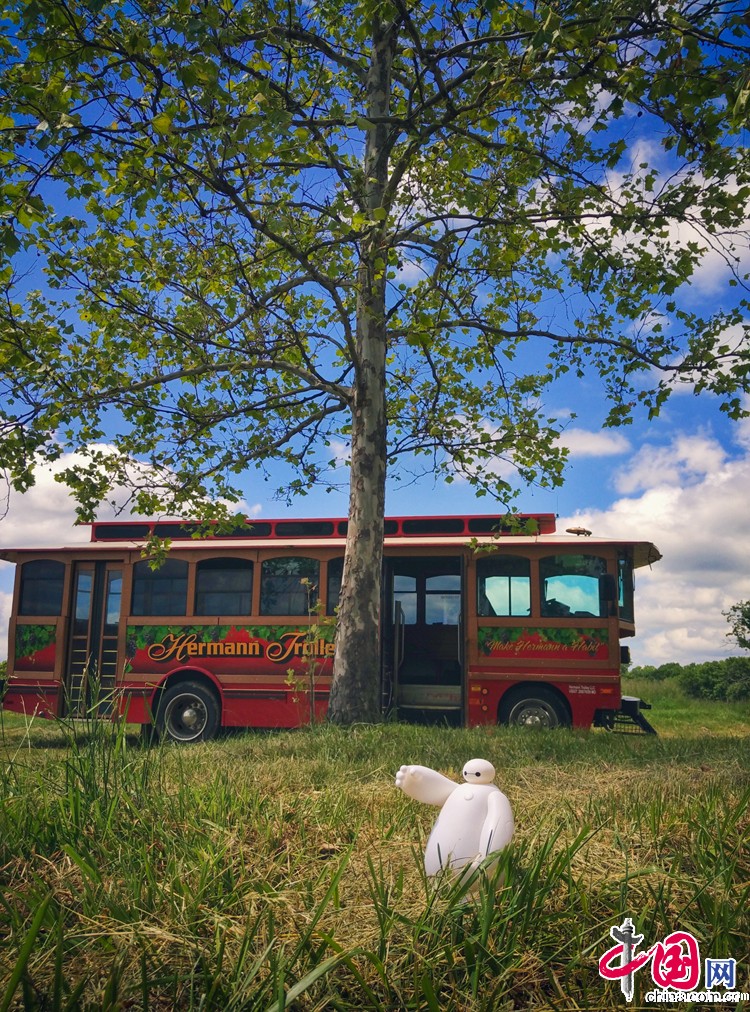 大白的美国游历记