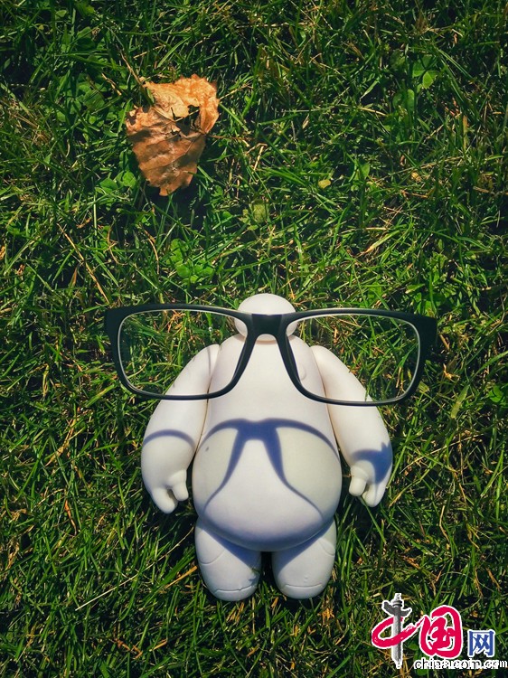 大白的美国游历记