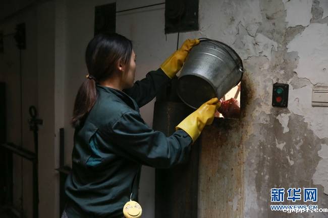 90后女饲养员和她的“大猫”