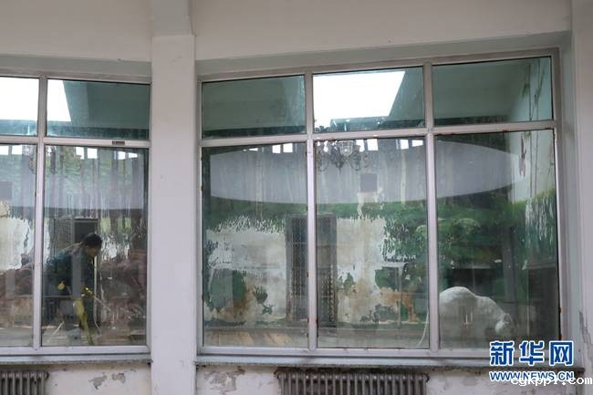 90后女饲养员和她的“大猫”