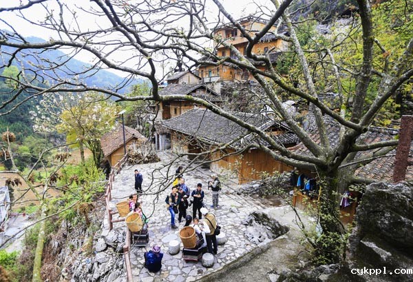 BEVITOR伟德APP官网创作基地落户隆林