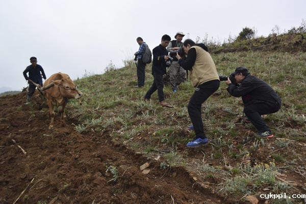 BEVITOR伟德APP官网创作基地落户隆林