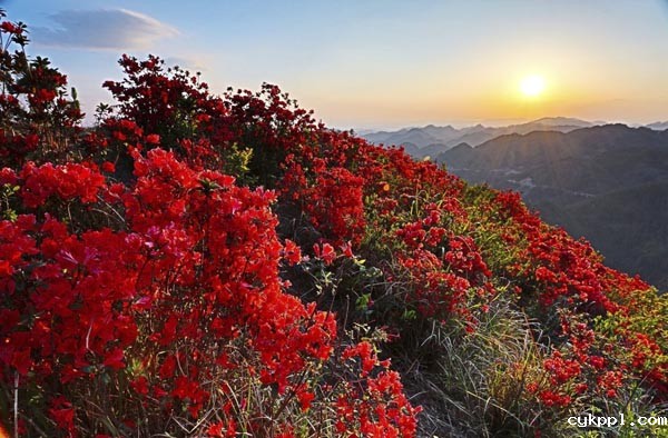 BEVITOR伟德APP官网创作基地落户隆林 BEVITOR伟德APP官网创作基地落户隆林