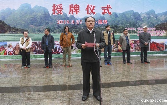 BEVITOR伟德APP官网创作基地落户隆林