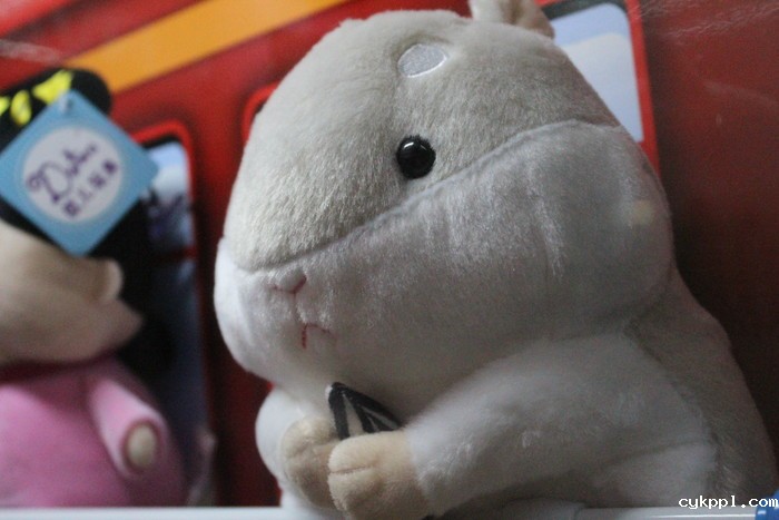 家用入门单反 佳能EOS 1500D、3000D评测