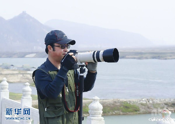 仲伟杰:国家一级保护动物和濒危鸟类摄影师