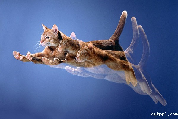 相机用的越来越熟练 提升拍摄的一些创意技巧