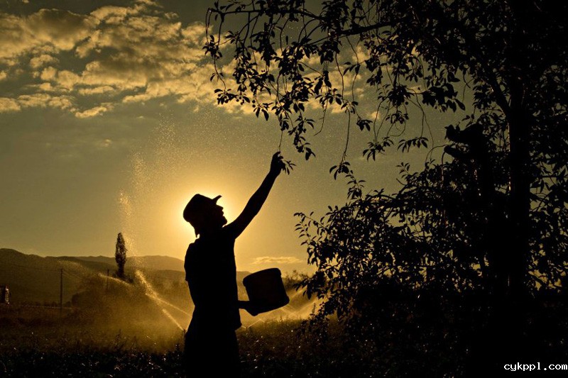 大光比下的诗意街头 趣味光影于彩色街头略过