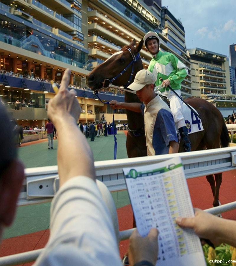 香港：回归20年的变与不变