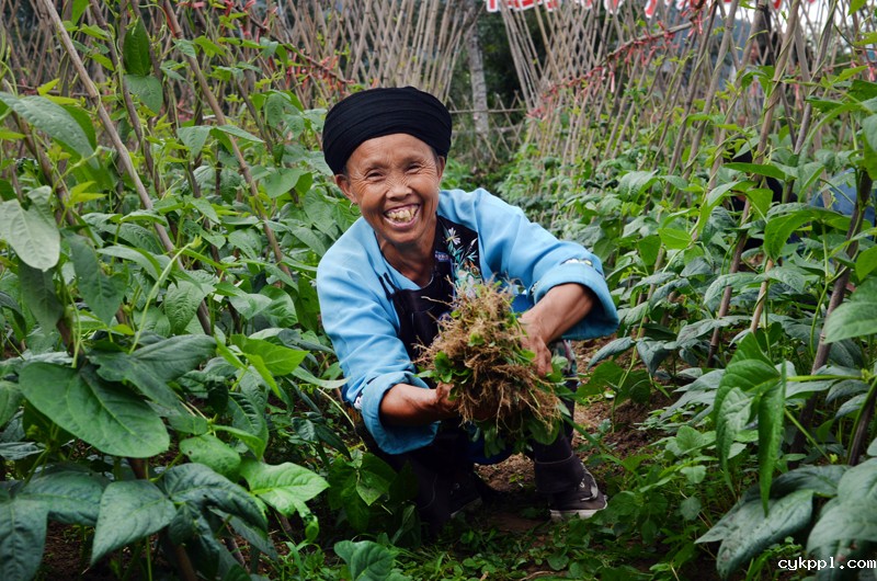 十八洞的19张笑脸