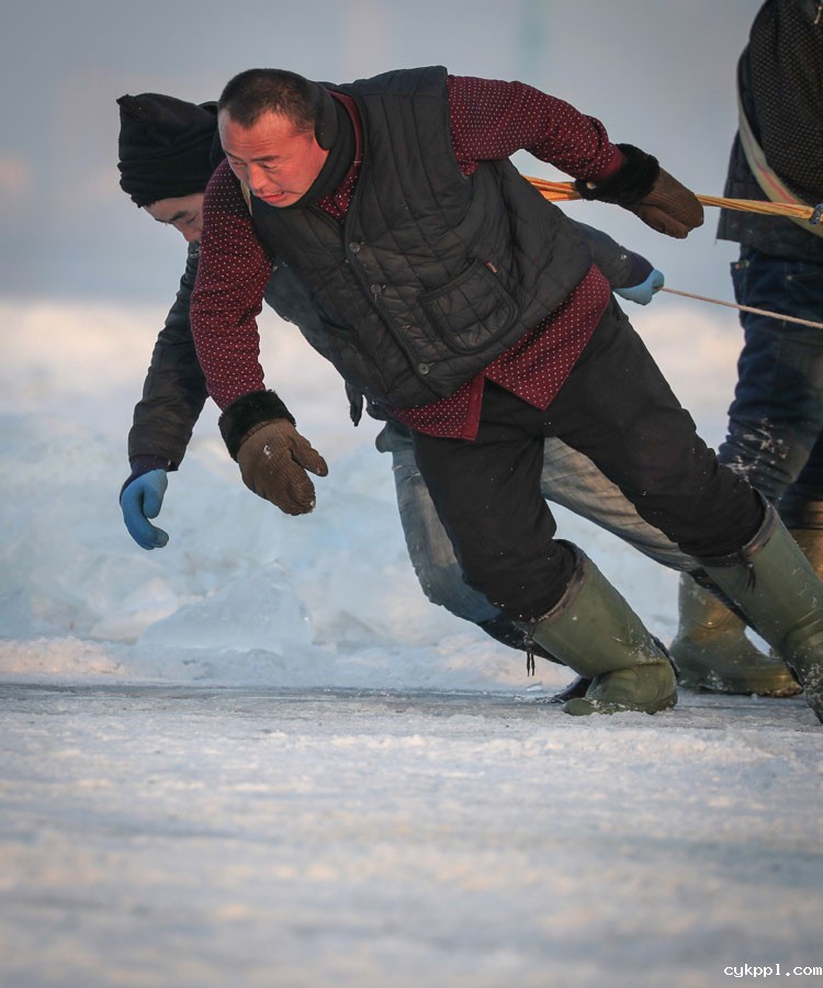 冰雪宝藏的“开矿者”——镜头记录松花江上采冰人