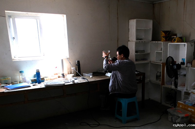 16年养殖成功的银鲳鱼想有个“家”