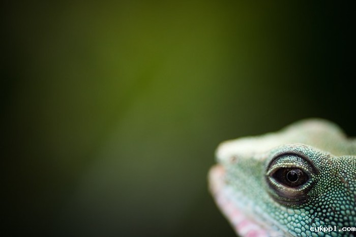 什么才是你最需要的镜头 看看这7点就知道了