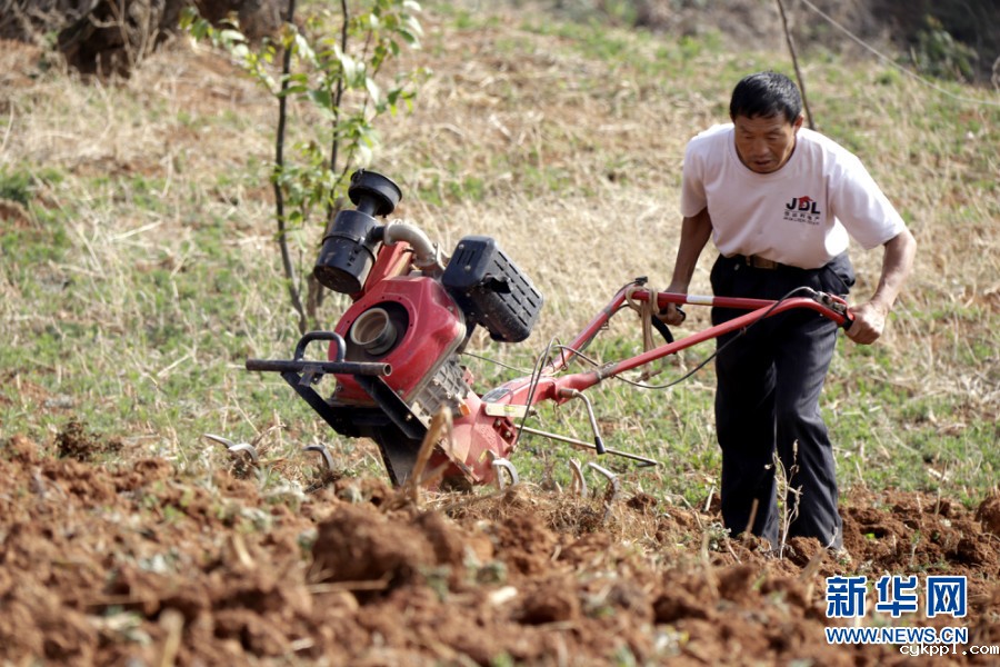 “拿起锄头干活，放下锄头唱歌”——他们从田间地头唱到国际舞台
