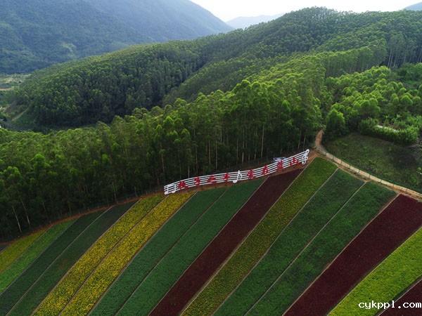 庆祝改革开放40周年：全国百家媒体聚焦花样漳州