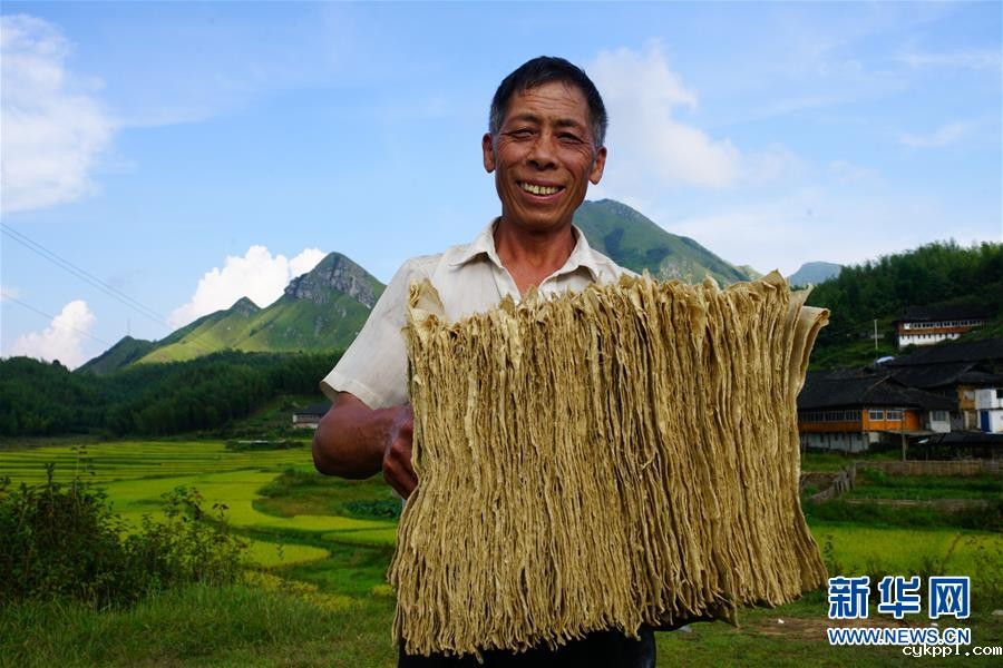 瑶寨里的古法造纸技艺