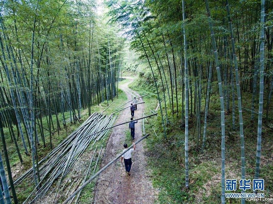 瑶寨里的古法造纸技艺