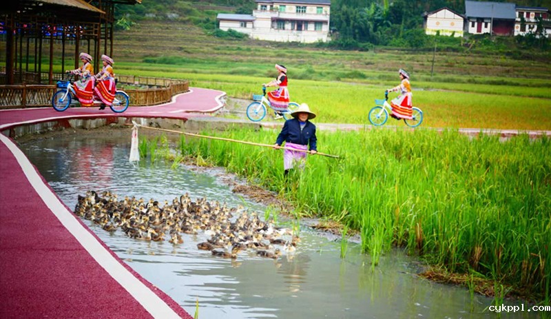 四川兴文：乡村振兴战略富农家