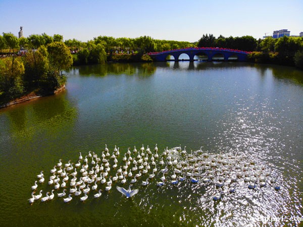 “中华之美”甘肃金张掖影像巡展在北京开幕 “中华之美”甘肃金张掖影像巡展在北京开幕