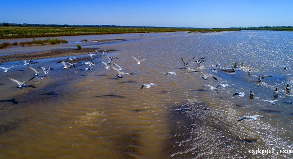 “中华之美”甘肃金张掖影像巡展在北京开幕 “中华之美”甘肃金张掖影像巡展在北京开幕