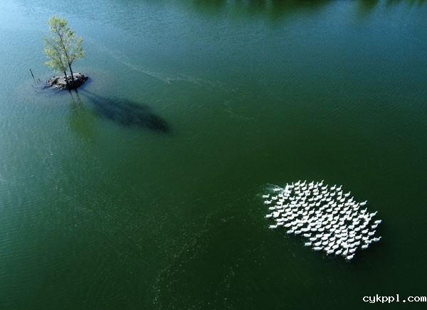 “中华之美”甘肃金张掖影像巡展在北京开幕 “中华之美”甘肃金张掖影像巡展在北京开幕