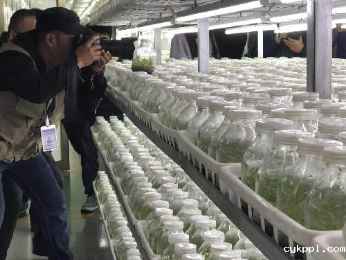 2018形象中国·全国百家媒体聚焦幸福六安举行开镜仪式