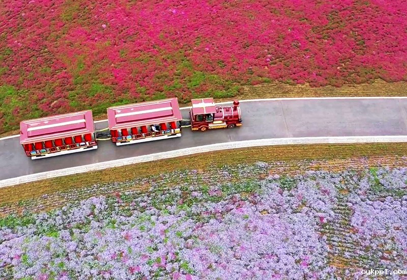 手机拍日照之二：钮一新视角