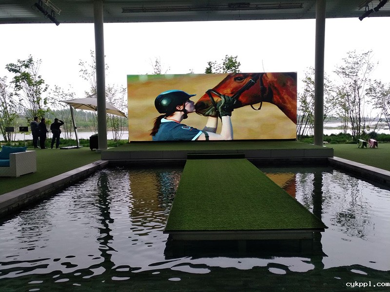 手机看日照之六：费强视角