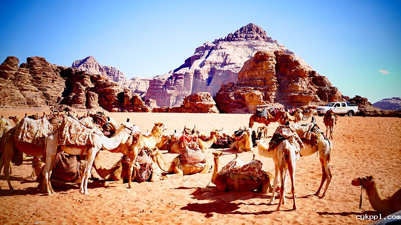 游约旦瓦迪拉姆沙漠(月亮谷)——世界自然和文化双遗产 游约旦瓦迪拉姆沙漠(月亮谷)——世界自然和文化双遗产