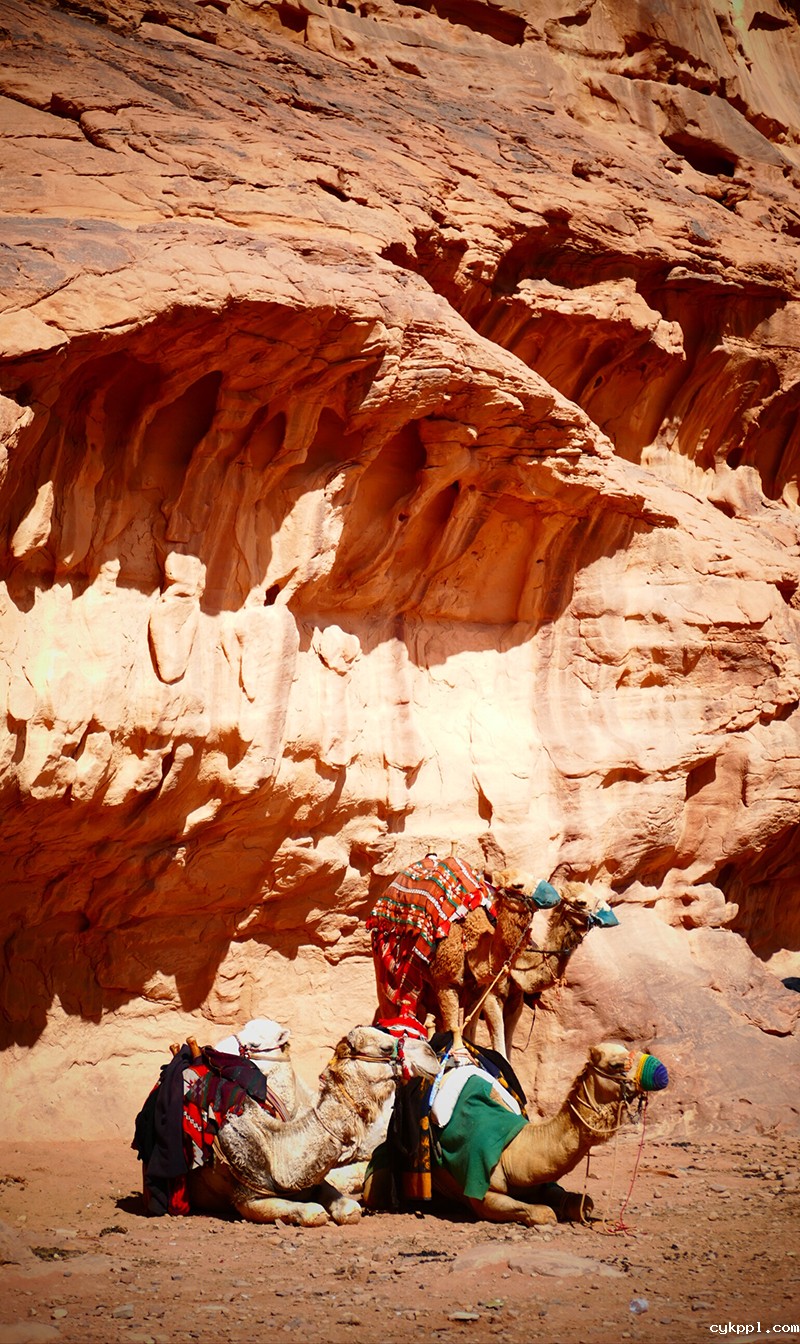 游约旦瓦迪拉姆沙漠(月亮谷)——世界自然和文化双遗产 游约旦瓦迪拉姆沙漠(月亮谷)——世界自然和文化双遗产