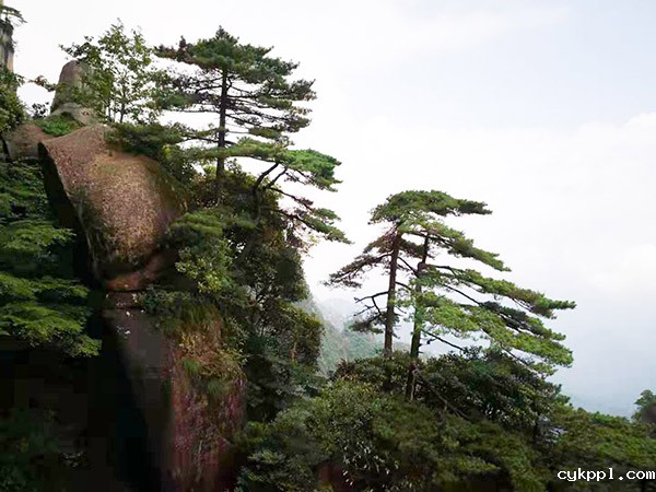主流媒体＂助力乡村振兴．聚焦大美上饶＂新闻摄影釆访活动今日启动